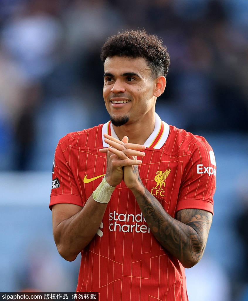 反观芝加哥 反观芝加哥